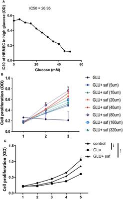 Protective effects of safranal on diabetic retinopathy in human microvascular endothelial cells and related pathways analyzed with transcriptome sequencing